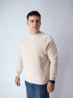 Світшот чоловічий теплий на флісі Freedom бежевий